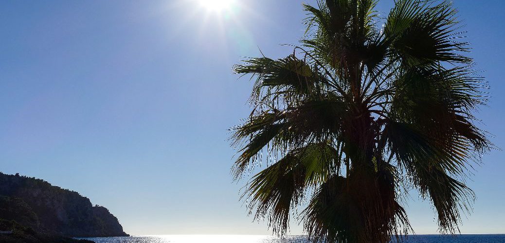 Mallorca - Blick aufs Meer