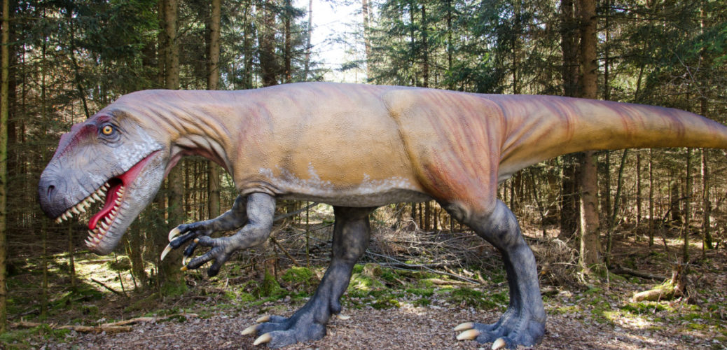 Auf Zeitreise im Dinosaurier-Park Altmühltal